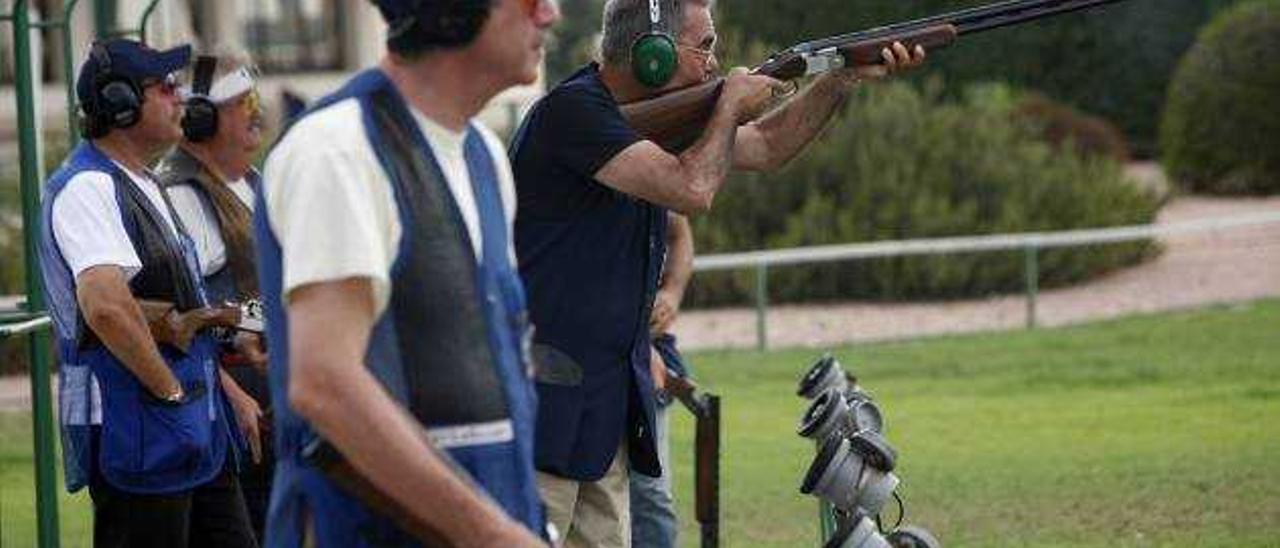 Las palomas amenazan los cultivos tras desaparecer las pruebas de tiro de pichón