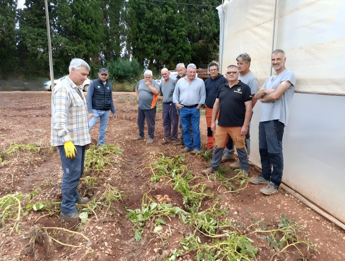Un grupo de payeses de sa Pobla afectados por la plaga de nematodos y muy críticos con la normativa de fitosanitarios.