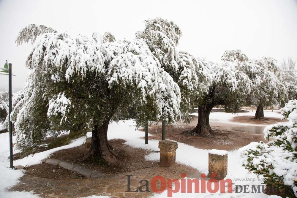 Nieve en las Fuentes del Marqués de Caravaca