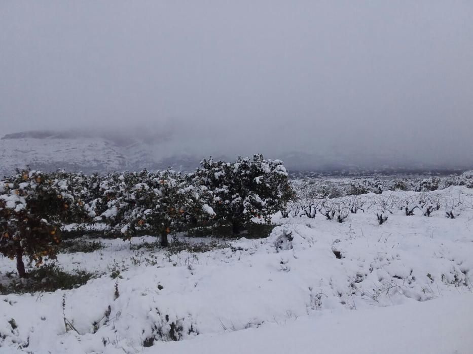 Playas nevadas en la Vega Baja