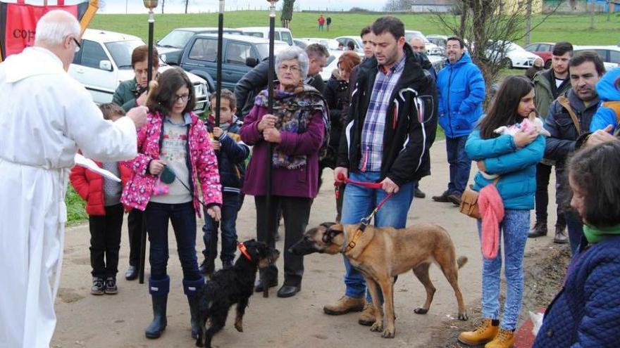 Ignacio Gallo bendice a los animales.