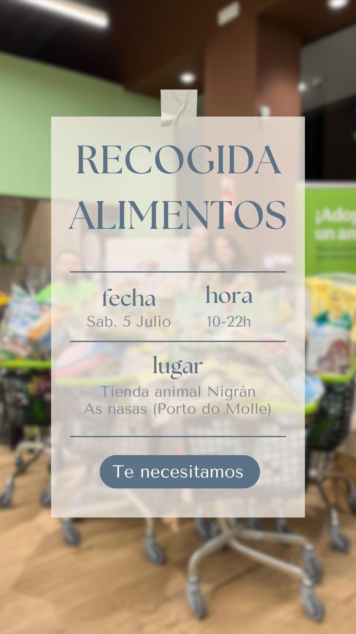 Cartel de aviso para la jornada de recogida de alimentos.