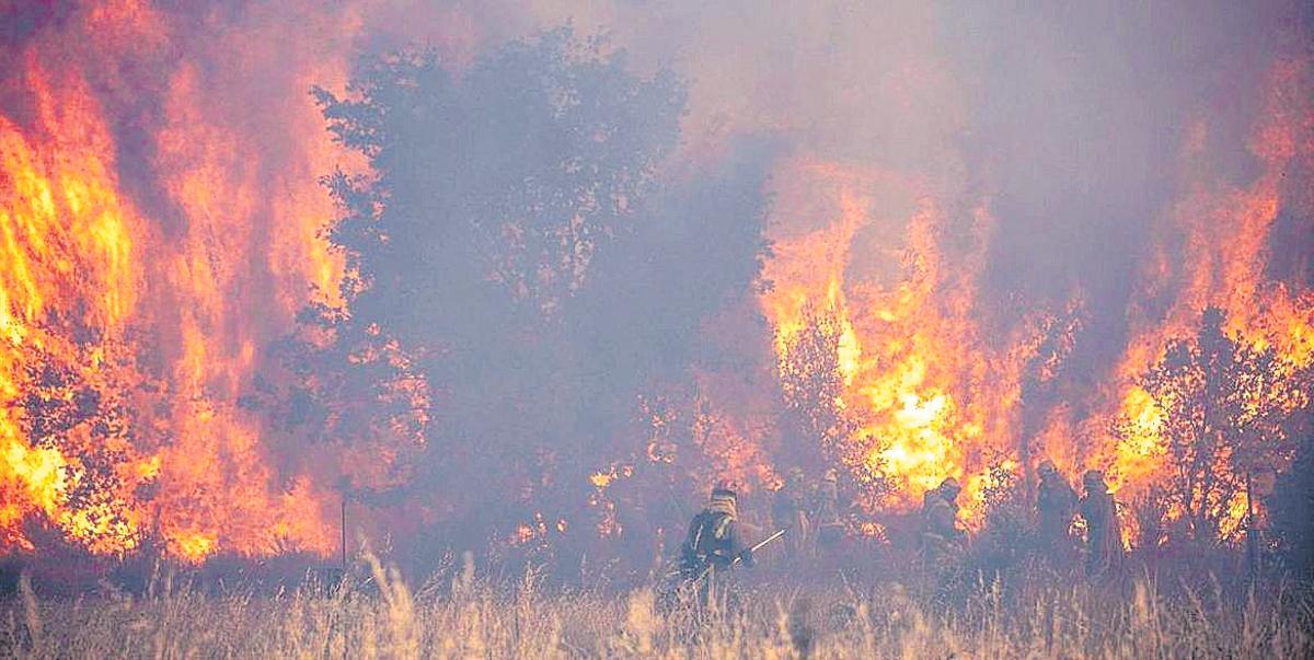 Els incendis de Zamora van ser els més violents d’Espanya en dècades