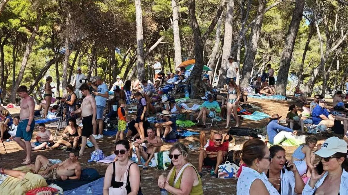Las ‘colles’, sorprendidas por la ocupación de la pinada de Santa Ponça en el eclipse: “¿Por qué a unos se les exige tanto y a otros se les permite todo?”