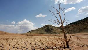 Paraje desértico en la provincia de Valencia por la sequía.