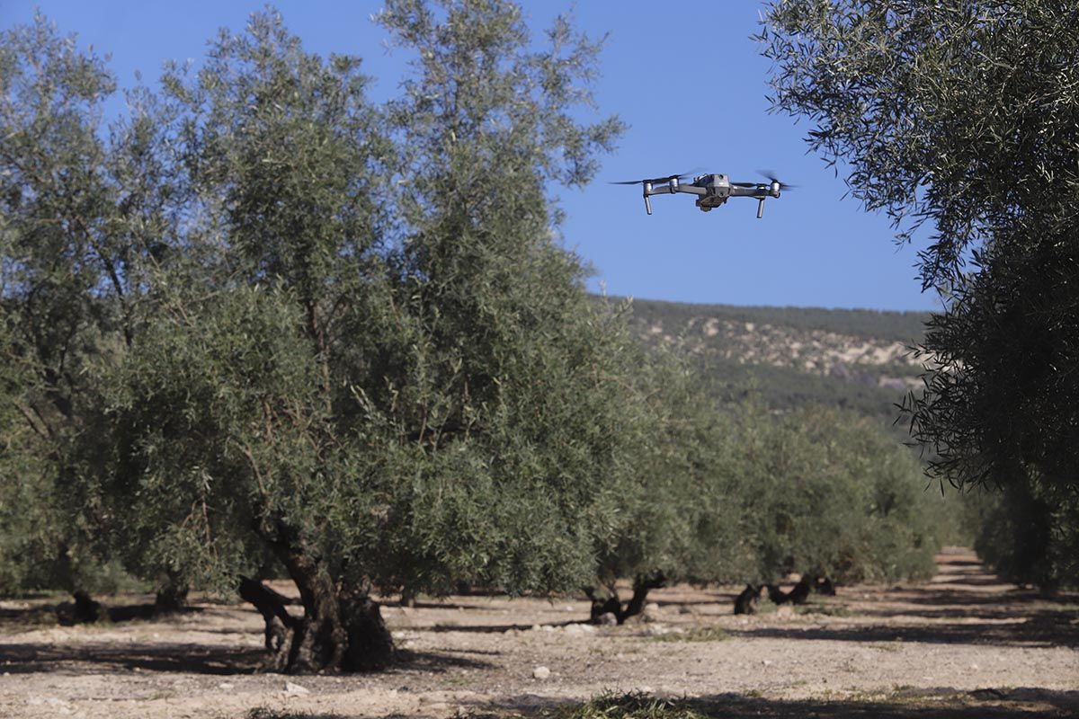 El dispositivo ROCA de la Guardia Civil en acción: unidad aérea con drones