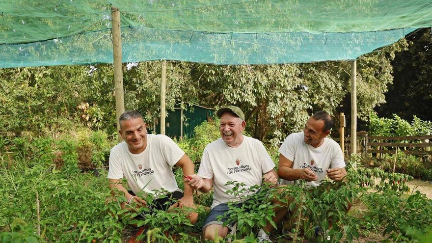 Quins Pebrots, l'epicentre del picant a l'Empordà: “A les visites, comencen plorant i acaben rient”
