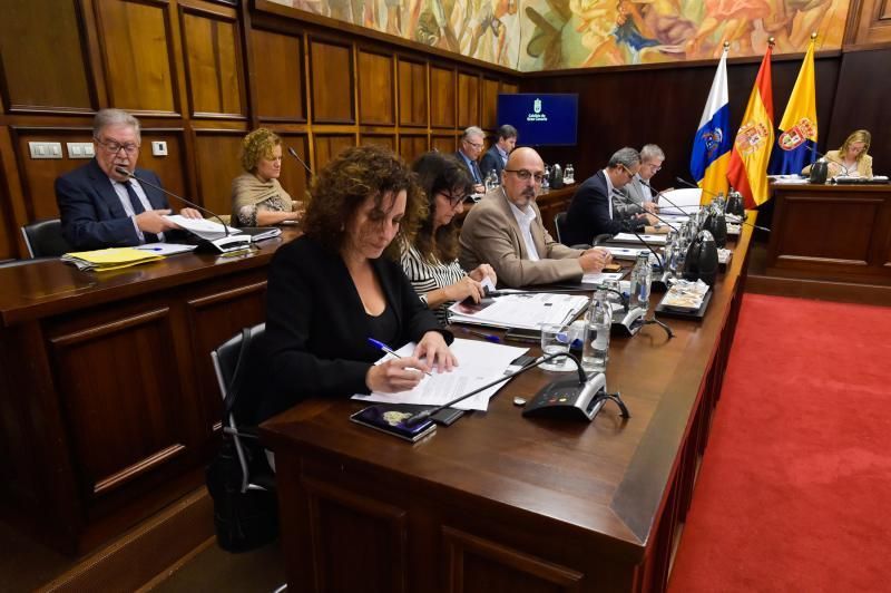 Pleno del Cabildo de Gran Canaria (29/11/19)