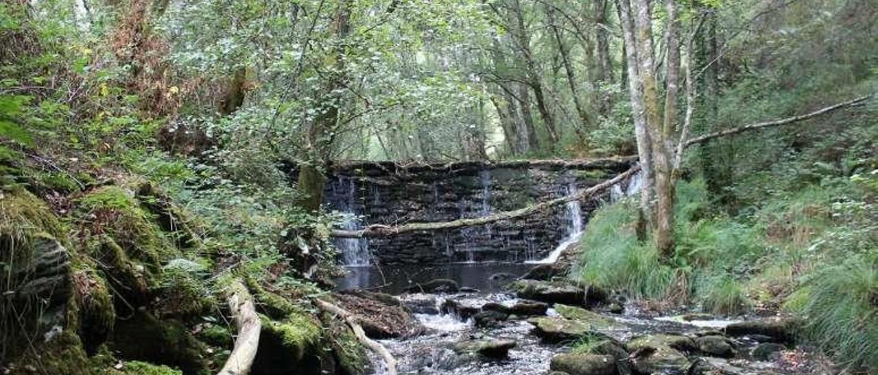 El río Asneiro a su paso por Pozo Negro, en Catasós, durante la primavera y el pasado día 13 de este mes. // Fotos: Daniel González Alén