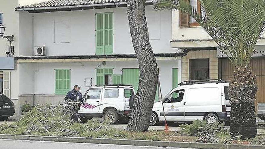 Operarios del Consell de Mallorca retiraban ayer las partes más conflictivas de la avenida.