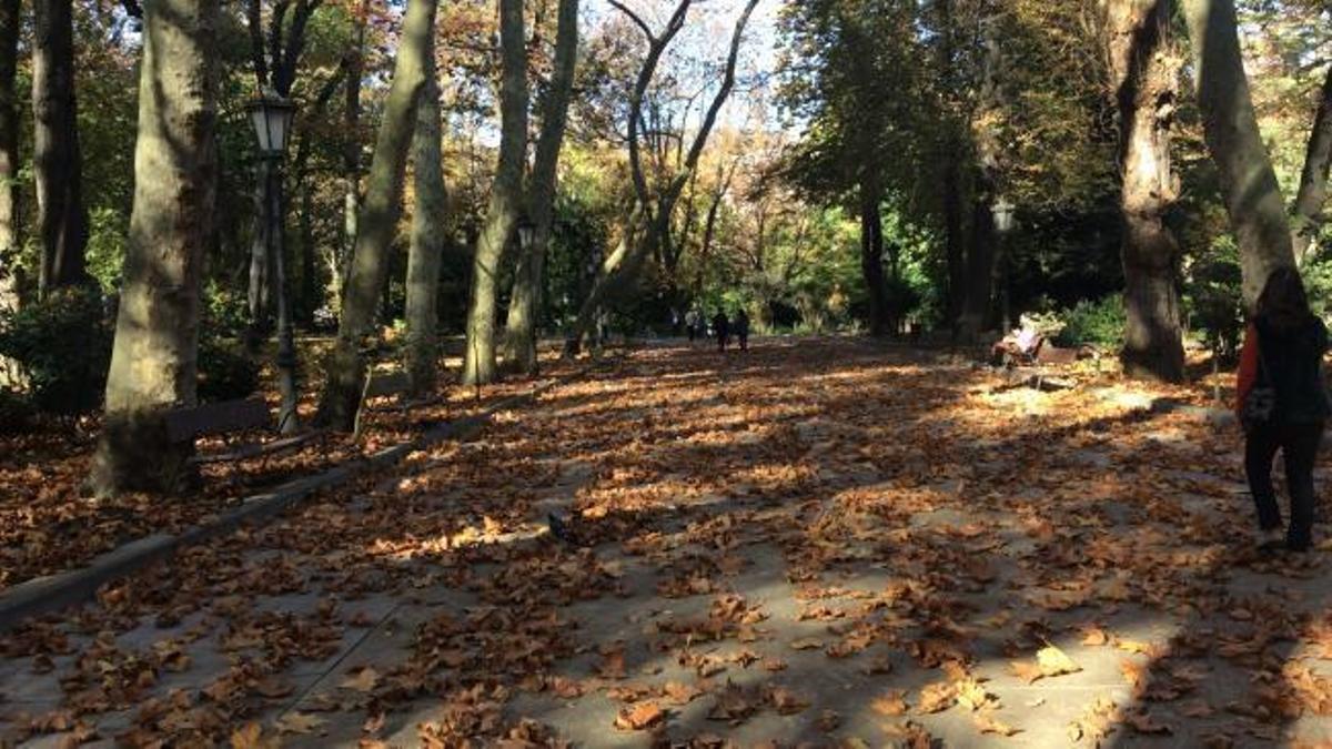 Oviedo aparca la reforma de la Escandalera y el Campo que lanzó el tripartito