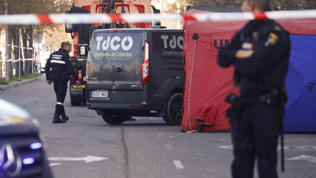 Accidente de tren en Adamuz, Córdoba: Los Reyes asistirán a la misa funeral por las víctimas