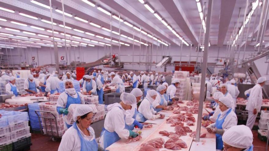El carni ha guanyat pes en la indústria gironina els darrers anys · Marc Martí