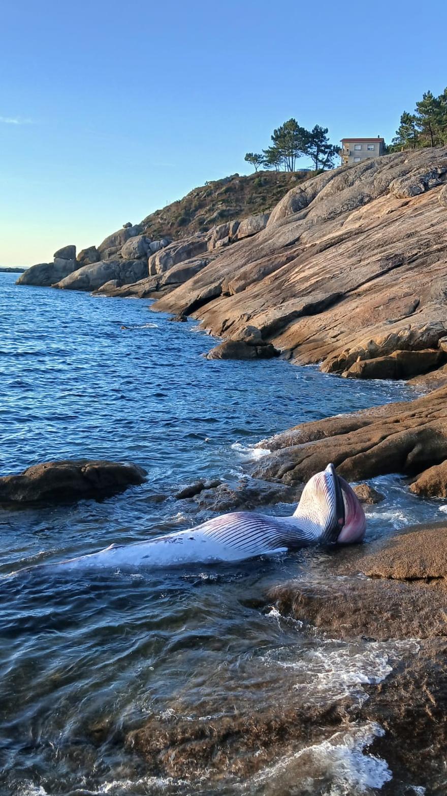 WhatsApp Image 2025 09 24 at 20.22.26