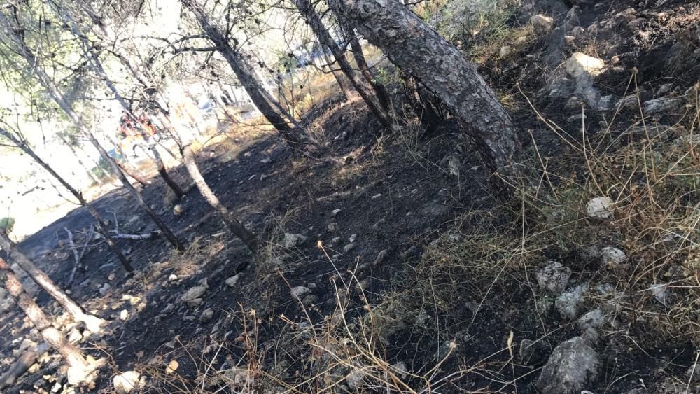 Pequeño incendio forestal en la Serra Grossa