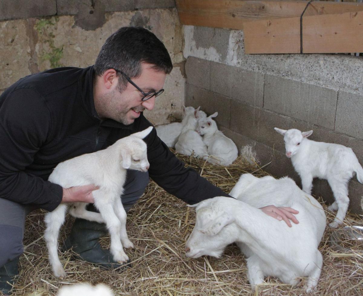 l Der Ziegenzüchter Joan Gaià stellt seinen eigenen Käse her.  l Auf einem Gemüsefeld nahe Manacor.  l Ein Bauer auf einem Traktor nahe Inca.  l Frische Tomaten, eines der typischen Erzeugnisse auf Mallorca.    | FOTOS: NELE BENDGENS