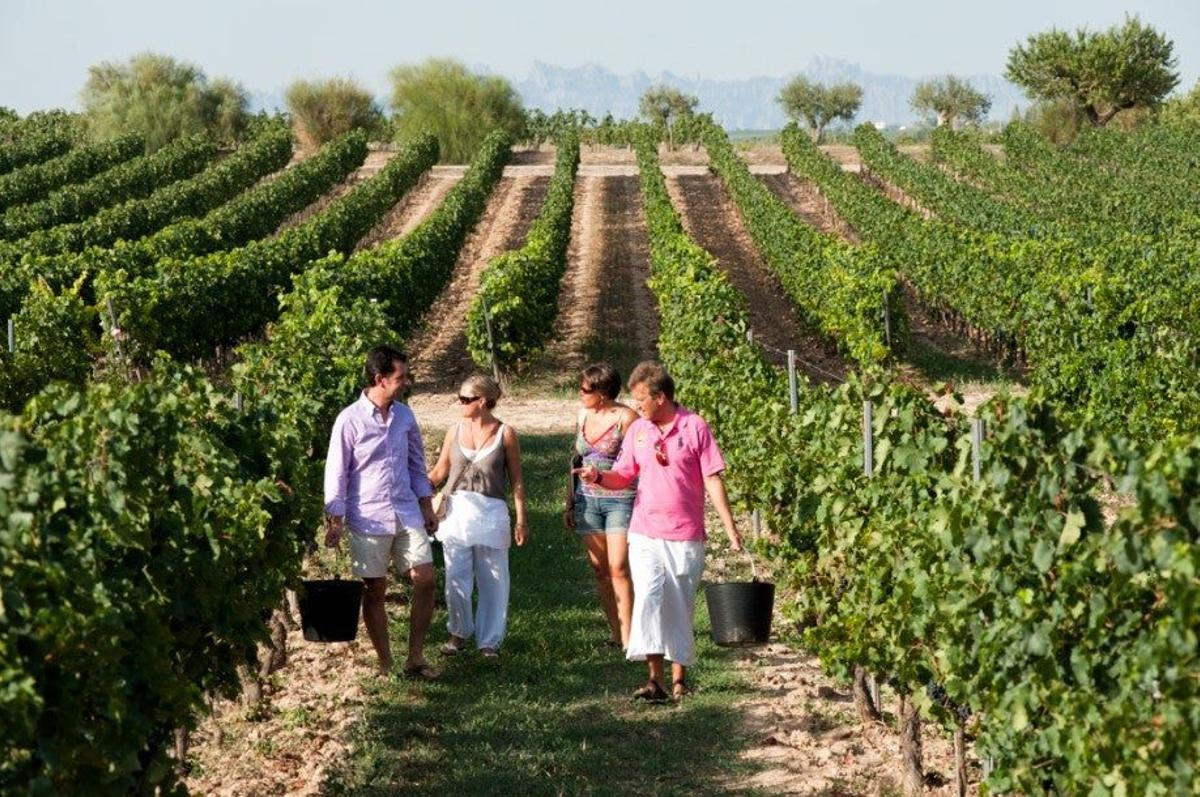 Bodegas Torres, en Vilafranca del Penedès