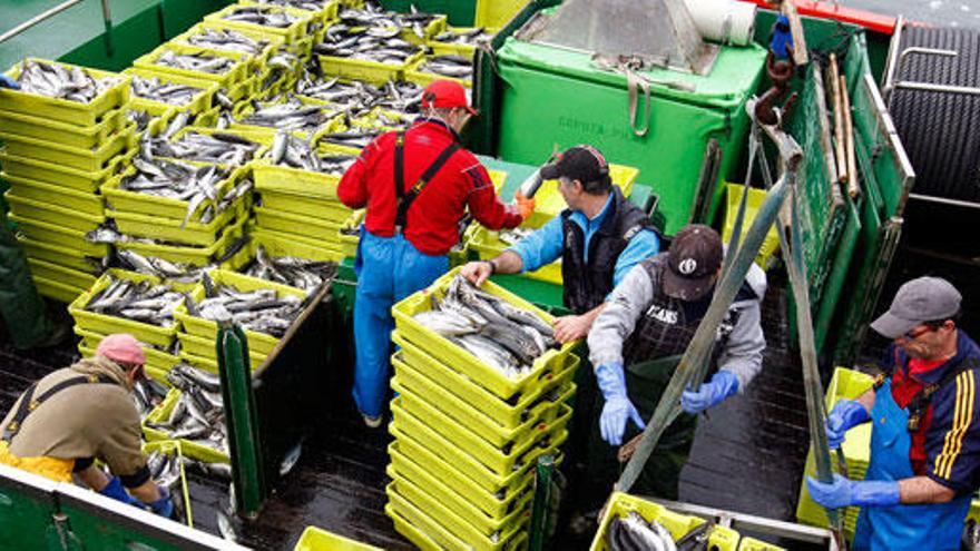Un barco descarga capturas de caballa. / ESTEBAN COBO