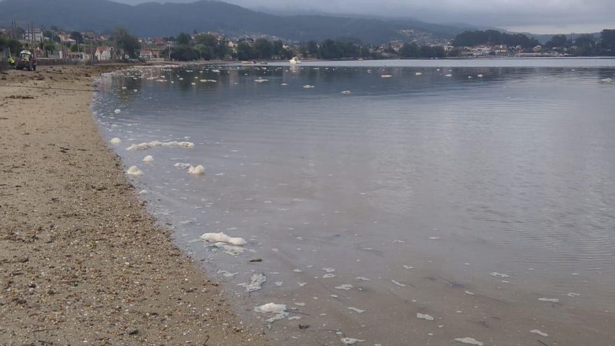 Aparecen decenas de desechos de color blanco flotando en la playa de Cesantes