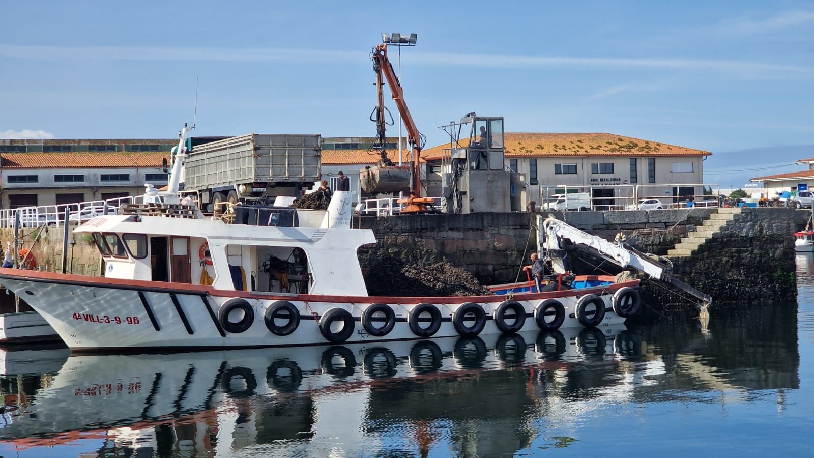 La lucha contra las biotoxinas marinas se refuerza en el Intecmar.