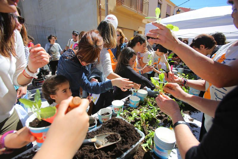 Trobada d'Escoles en Valencià en Albalat