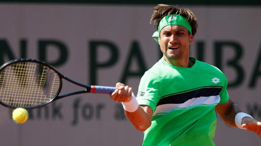 David Ferrer