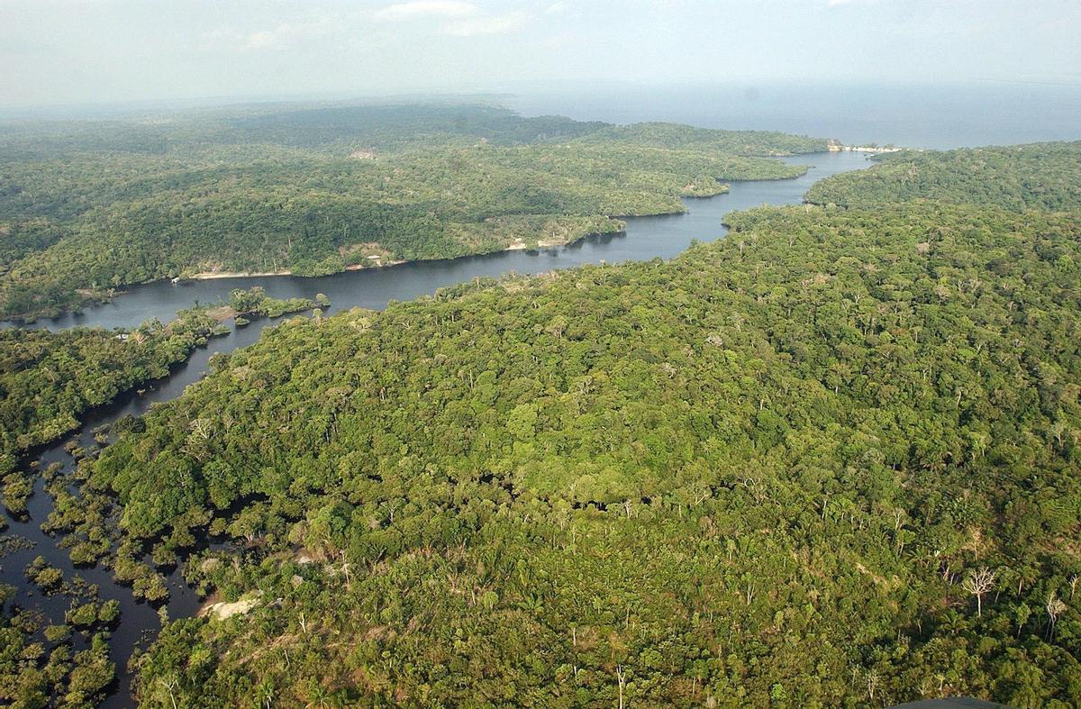 Fotografía del archivo del 5 de agosto de 2014, que muestra una vista general de una área selvática cercana a Manaos, en la Amazonía (Brasil). La Amazonía es la mayor floresta tropical del mundo y representa poco más de la mitad del bosque húmedo que existe en el planeta, que junto con las plantas marinas es clave para la generación de oxígeno. Se extiende sobre 7,4 millones de kilómetros cuadrados, que son equivalentes al 5 de la superficie total de la Tierra y a casi el 25 del continente americano. Un 60 de ese territorio está en suelo brasileño. EFE/ Marcelo Sayão /ARCHIVO Fotografía del archivo del 5 de agosto de 2014, que muestra una vista general de una área selvática cercana a Manaos, en la Amazonía (Brasil). La Amazonía es la mayor floresta tropical del mundo y representa poco más de la mitad del bosque húmedo que existe en el planeta, que junto con las plantas marinas es clave para la generación de oxígeno. Se extiende sobre 7,4 millones de kilómetros cuadrados, que son equivalentes al 5 de la superficie total de la Tierra y a casi el 25 del continente americano. Un 60 de ese territorio está en suelo brasileño. EFE/ Marcelo Sayão /ARCHIVO