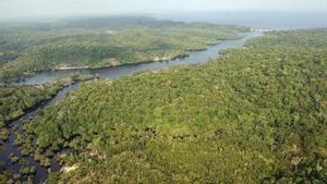 Fotografía del archivo del 5 de agosto de 2014, que muestra una vista general de una área selvática cercana a Manaos, en la Amazonía (Brasil). La Amazonía es la mayor floresta tropical del mundo y representa poco más de la mitad del bosque húmedo que existe en el planeta, que junto con las plantas marinas es clave para la generación de oxígeno. Se extiende sobre 7,4 millones de kilómetros cuadrados, que son equivalentes al 5 de la superficie total de la Tierra y a casi el 25 del continente americano. Un 60 de ese territorio está en suelo brasileño. EFE/ Marcelo Sayão /ARCHIVO