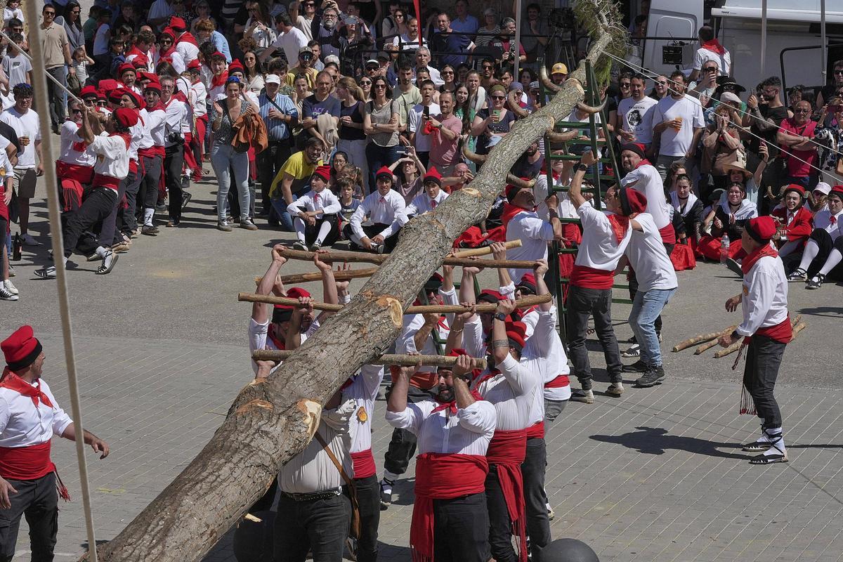 Les imatges de la plantada de l'arbre de Maig i del ball del Cornut de Cornellà del Terri Les imatges de la plantada de l'arbre de Maig i del ball del Cornut de Cornellà del Terri