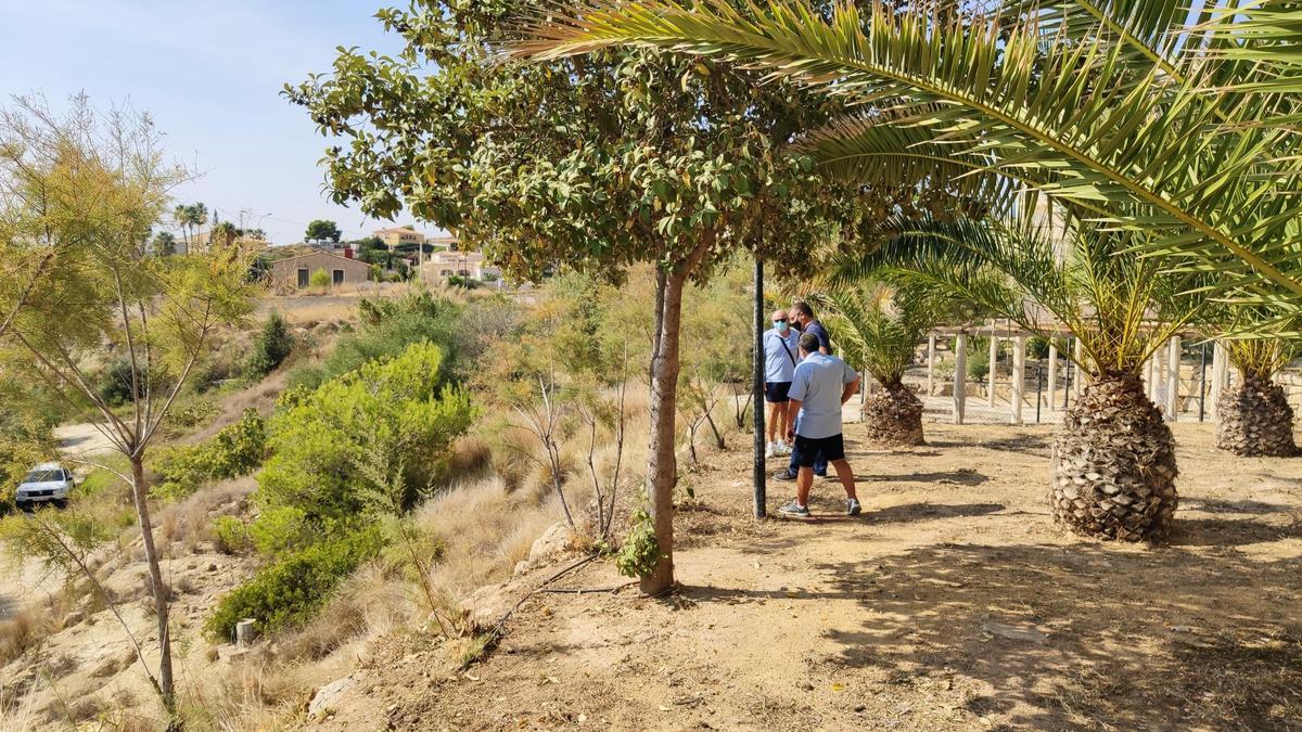 El Campello rehabilita la zona recreativa de Cala Baeza