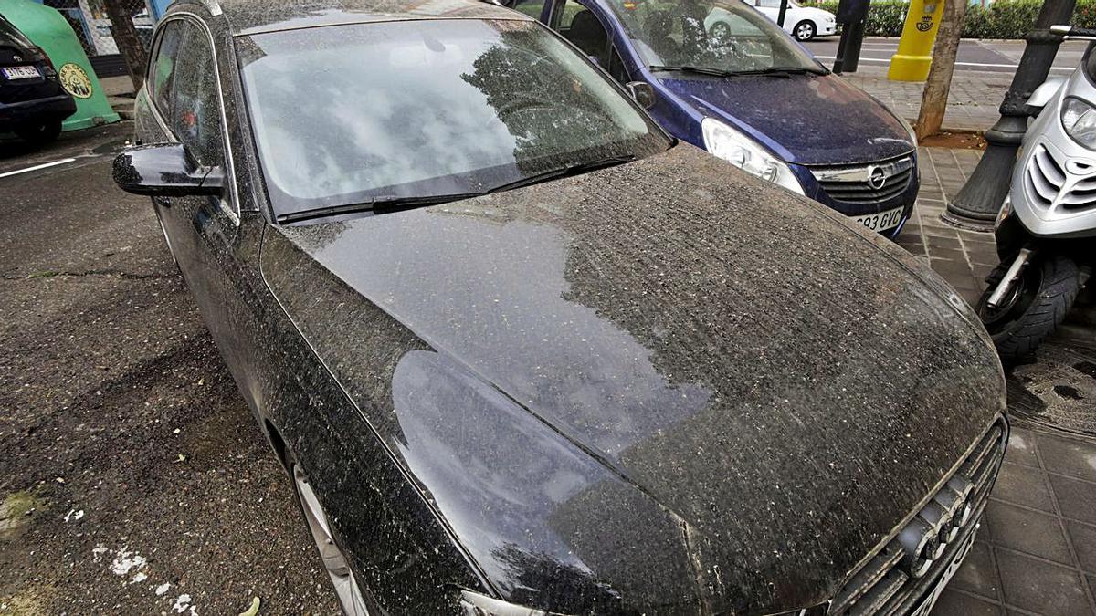 Los coches y aceras de València amenecieron ayer llenos de barro debido a la calima. | EDUARDO RIPOLL