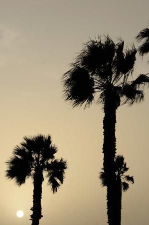 Las Palmas de Gran Canaria . Calima en la Avenia Marítima de Las Palmas de Gran Canaria  | 05/02/2020 | Fotógrafo: José Carlos Guerra