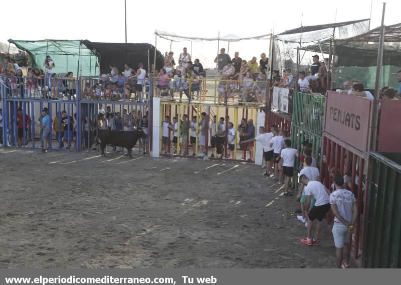 Fiestas de Agosto en Castellón