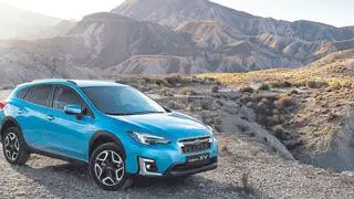 Subaru, una marca premium dentro del Grupo M. Gallego