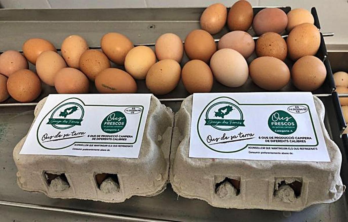 Una nueva vida como granjeras en la pandemia | J.A.C.