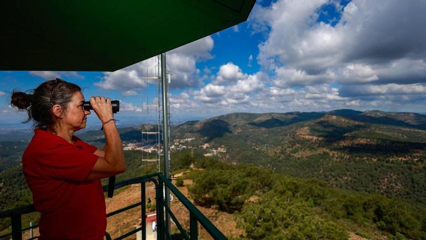 El calor pone a prueba al monte valenciano: la vegetación acumulada dispara el riesgo de incendios