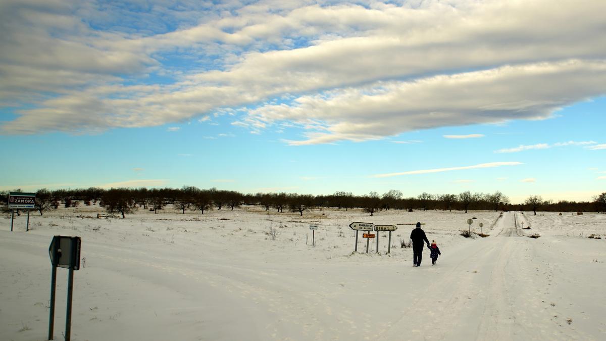 GALERÍA | La nieve del temporal Filomena llega a Aliste