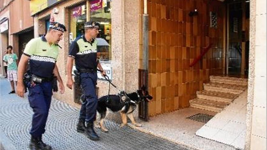 Dos agents de la policia local, amb un gos, a punt d&#039;accedir en un dels habitatges, en una imatge d&#039;arxiu.