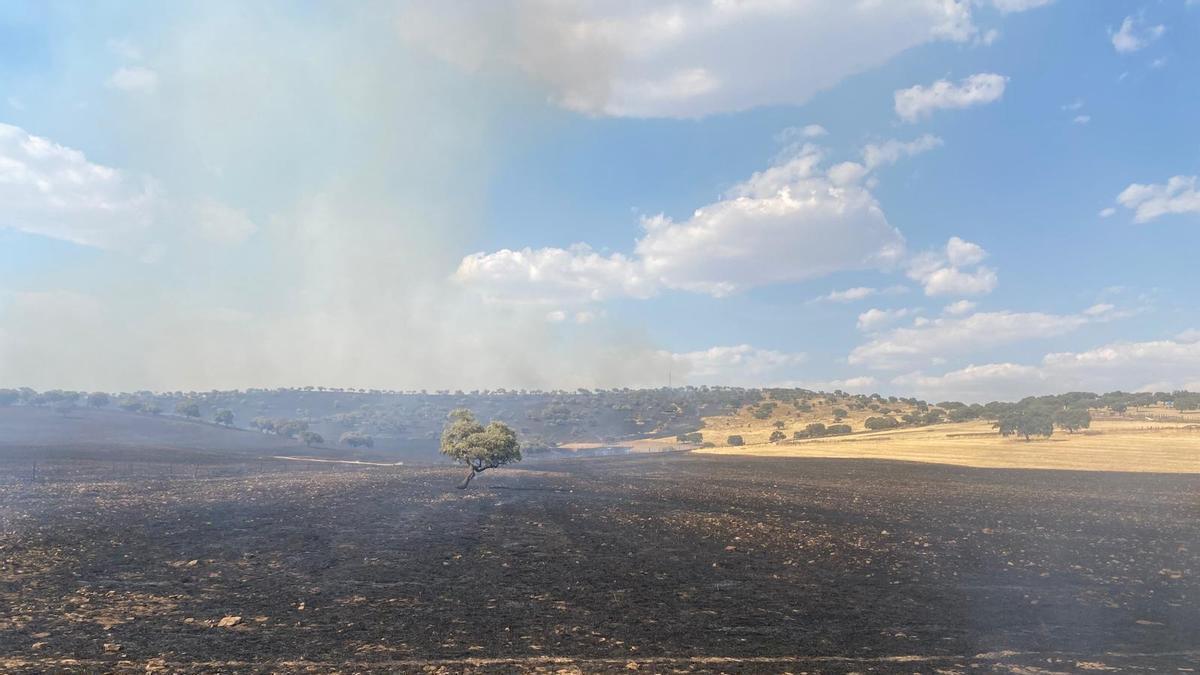 Superficie afectada por el incendio forestal en el paraje La Castilleja, en el término municipal de Peñarroya-Pueblonuevo.