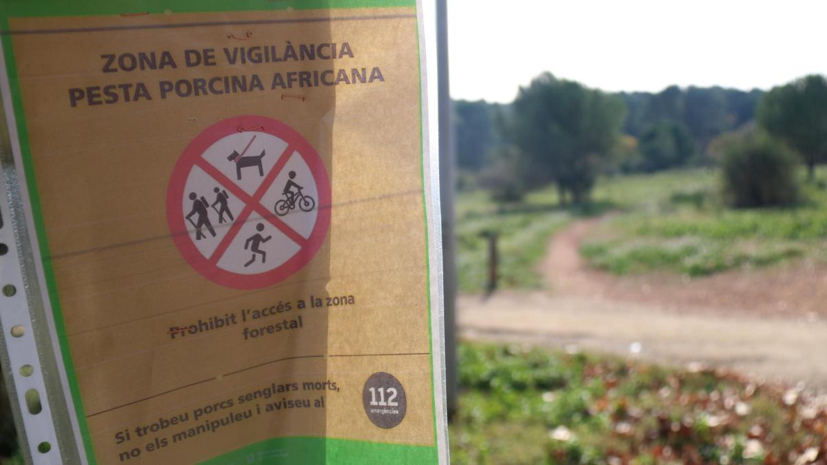 Un cartell informatiu alerta que el torrent de Llaceres, a Sant Cugat del Vallès, és una zona de vigilància de la pesta porcina africana