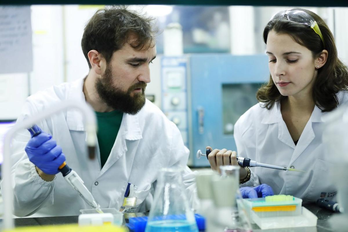 Investigadores del proyecto Nuevos activadores de HRI para el tratamiento de la diabetes mellitus de tipo 2 (FundaciÃ³n Bosch i Gimpera, Universidad de Barcelona).