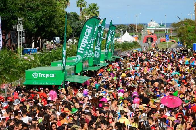 Carnaval de Día de Vegueta  | 15/02/2020 | Fotógrafo: Tony Hernández