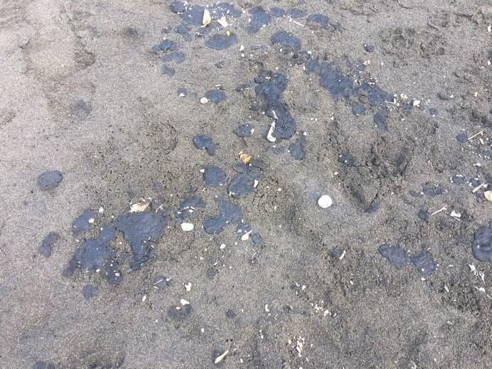 Recogida de restos de piche en la playa teldense de Palos