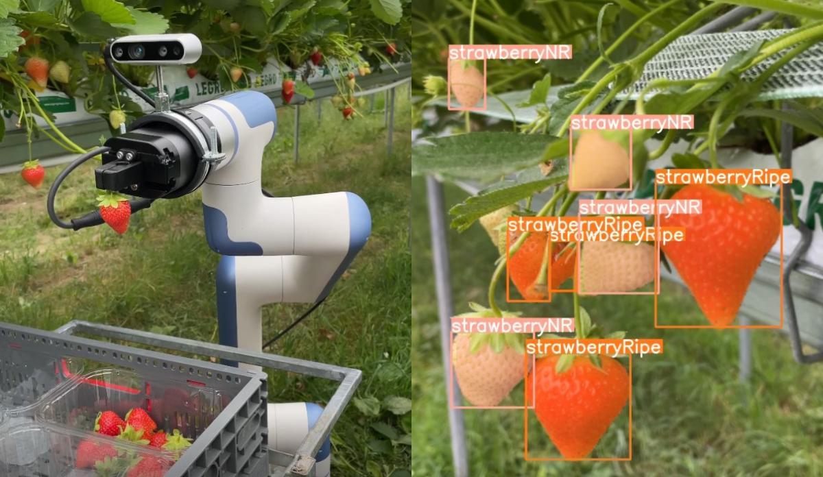 Por el momento hay cuatro robots en funcionamiento en diferentes puntos del país.