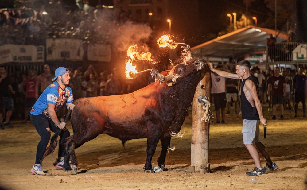 Las imágenes de las fiestas del Port de Sagunt en el fin de semana