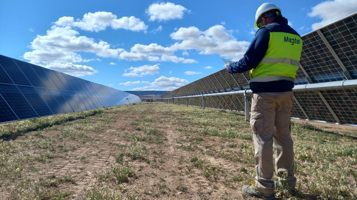 La empresa cordobesa Magtel construye un parque fotovoltaico en Zaragoza.