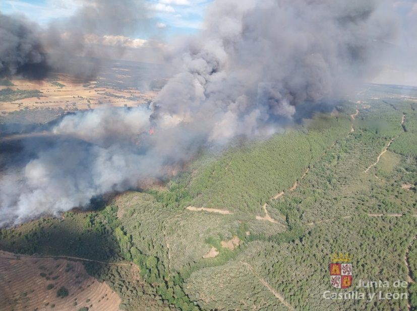 Las espectaculares imágenes del avance del fuego de Trabazos