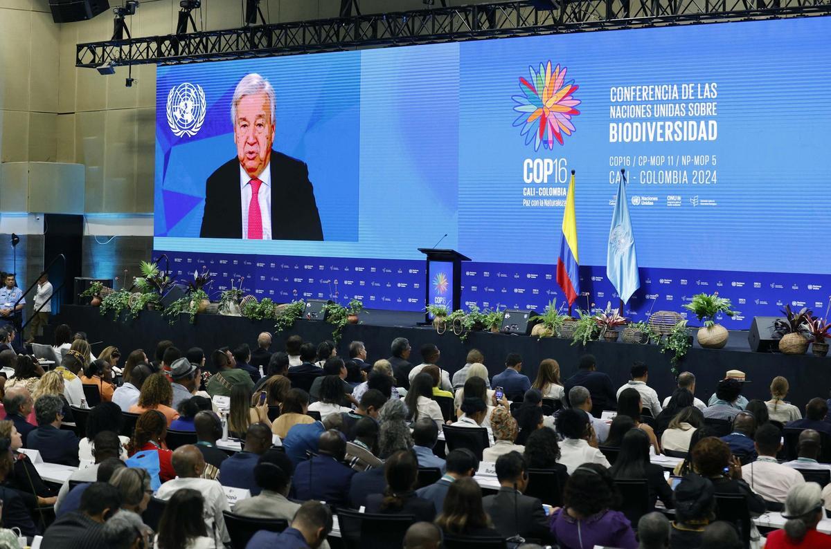 António Guterres, durante la inauguración de la COP16.