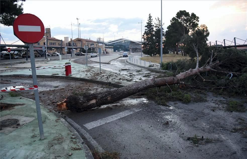 Efectos del viento huracanado en Zaragoza