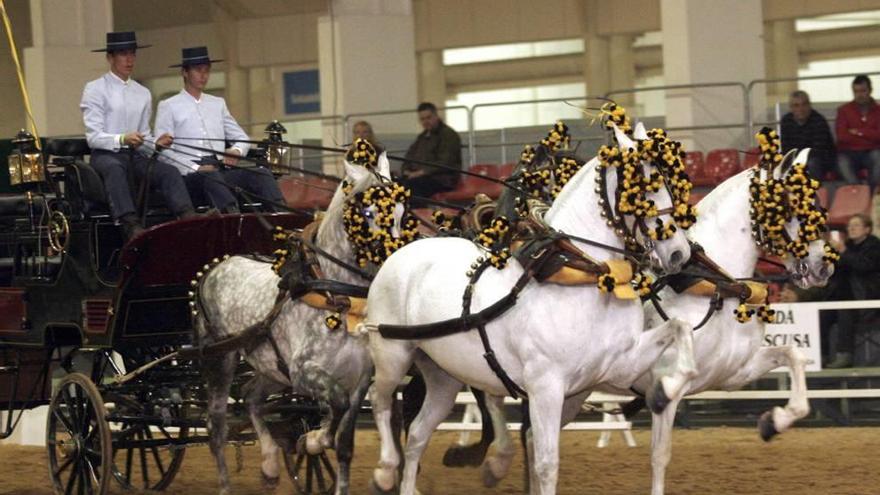 Ifepa ensilla el recinto ferial